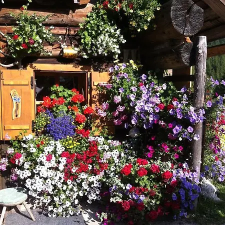 Konukevi Andrea Schmaranzer - Gosau