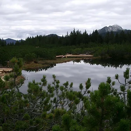 Andrea Schmaranzer - 3*