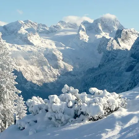 Andrea Schmaranzer - Guest house Gosau