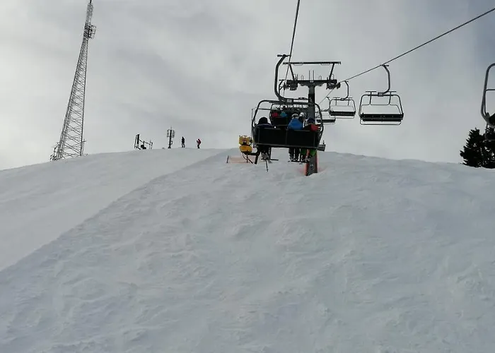 Andrea Schmaranzer -