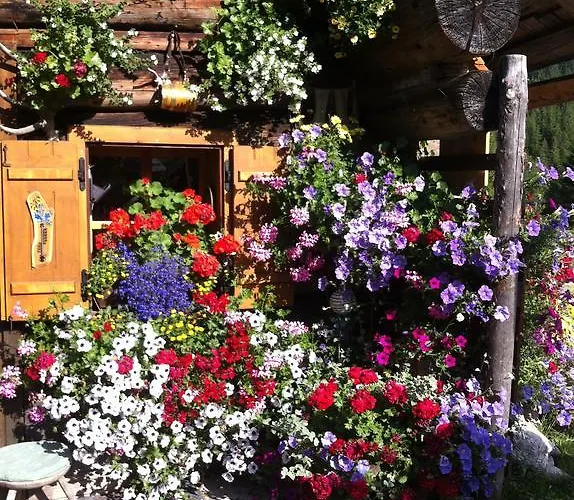 Guest house Andrea Schmaranzer - Gosau