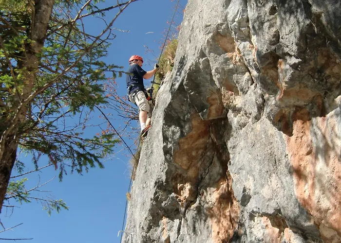 Andrea Schmaranzer - Guest house Gosau