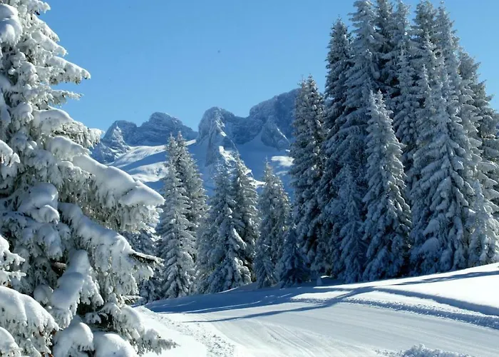 Guest house Andrea Schmaranzer - 3*