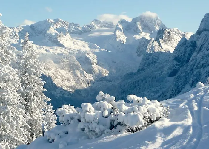 Andrea Schmaranzer - Guest house Gosau